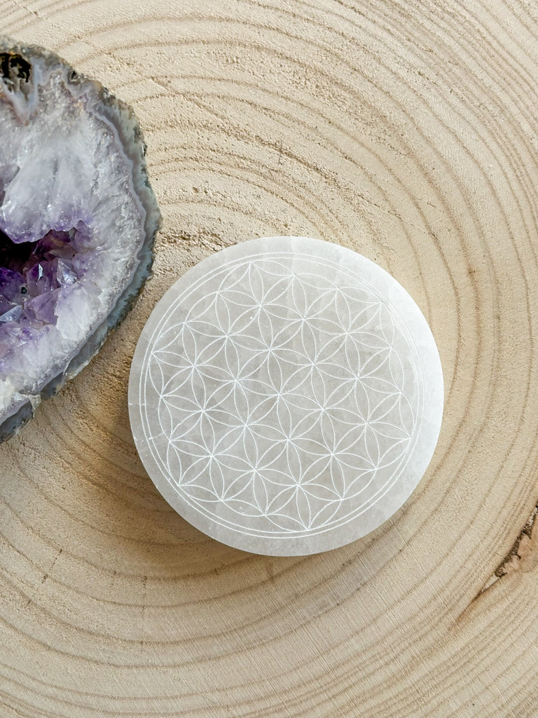 Rechargement/Purification