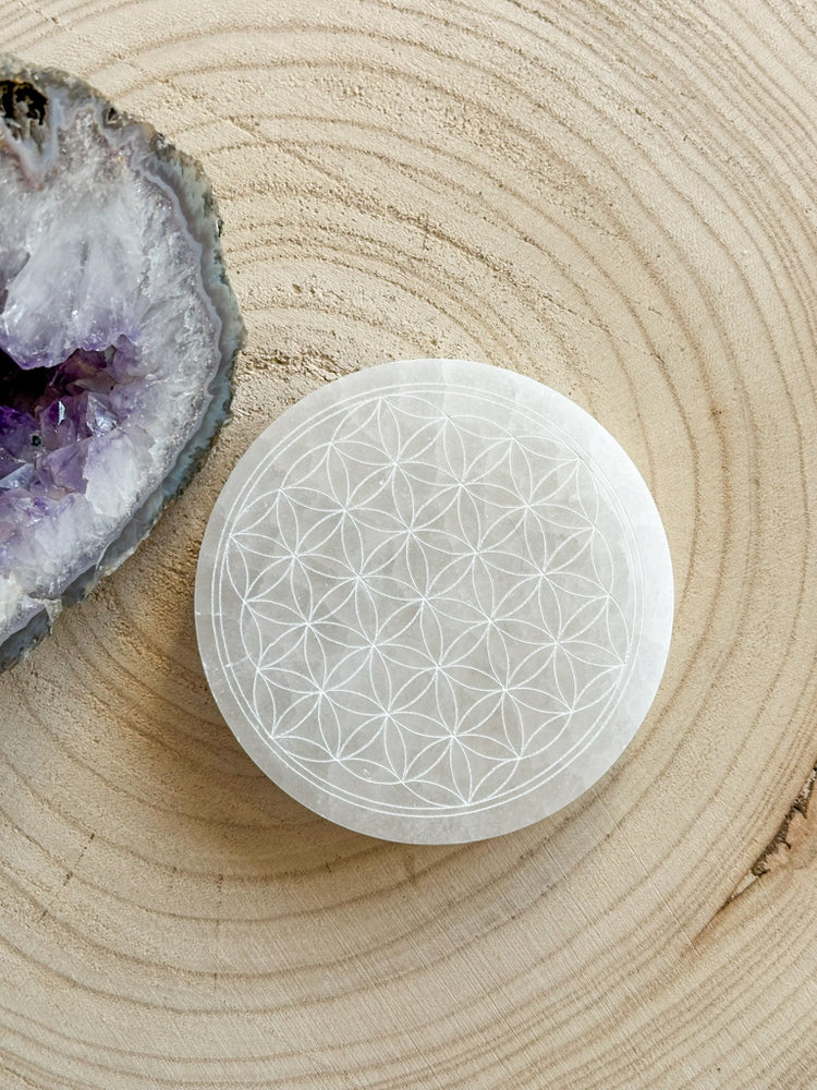 Rechargement/Purification