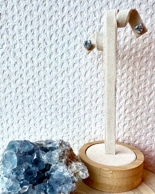 BOUCLES D’OREILLES PUCE