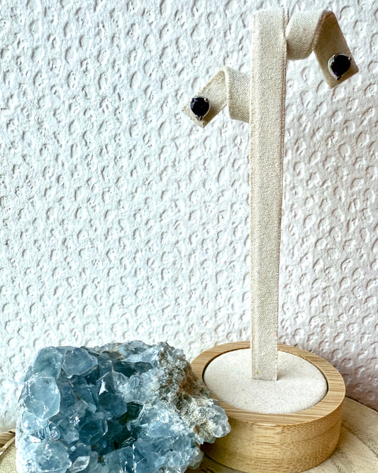 BOUCLES D’OREILLES PUCE