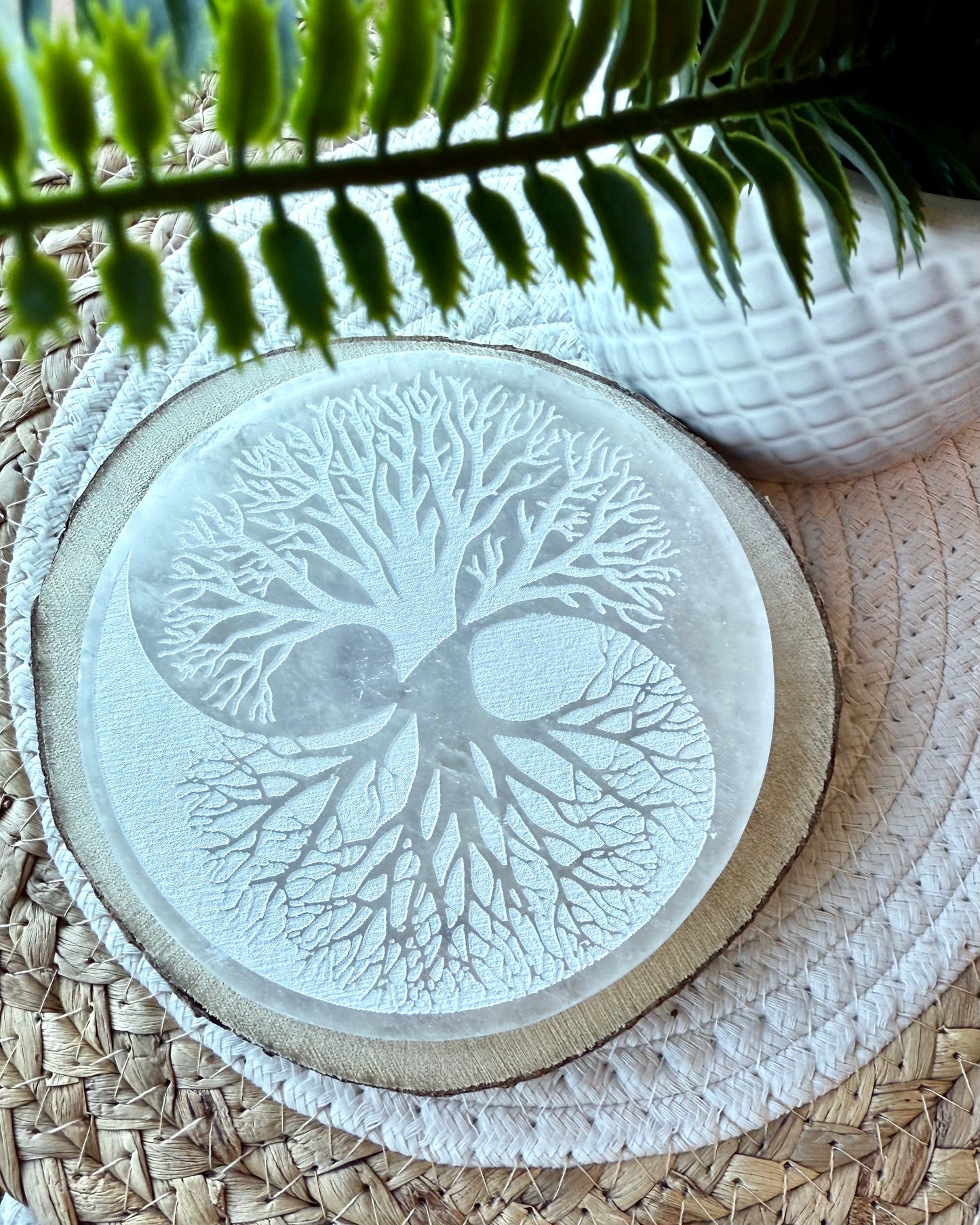 PLAQUES DE SÉLÉNITE