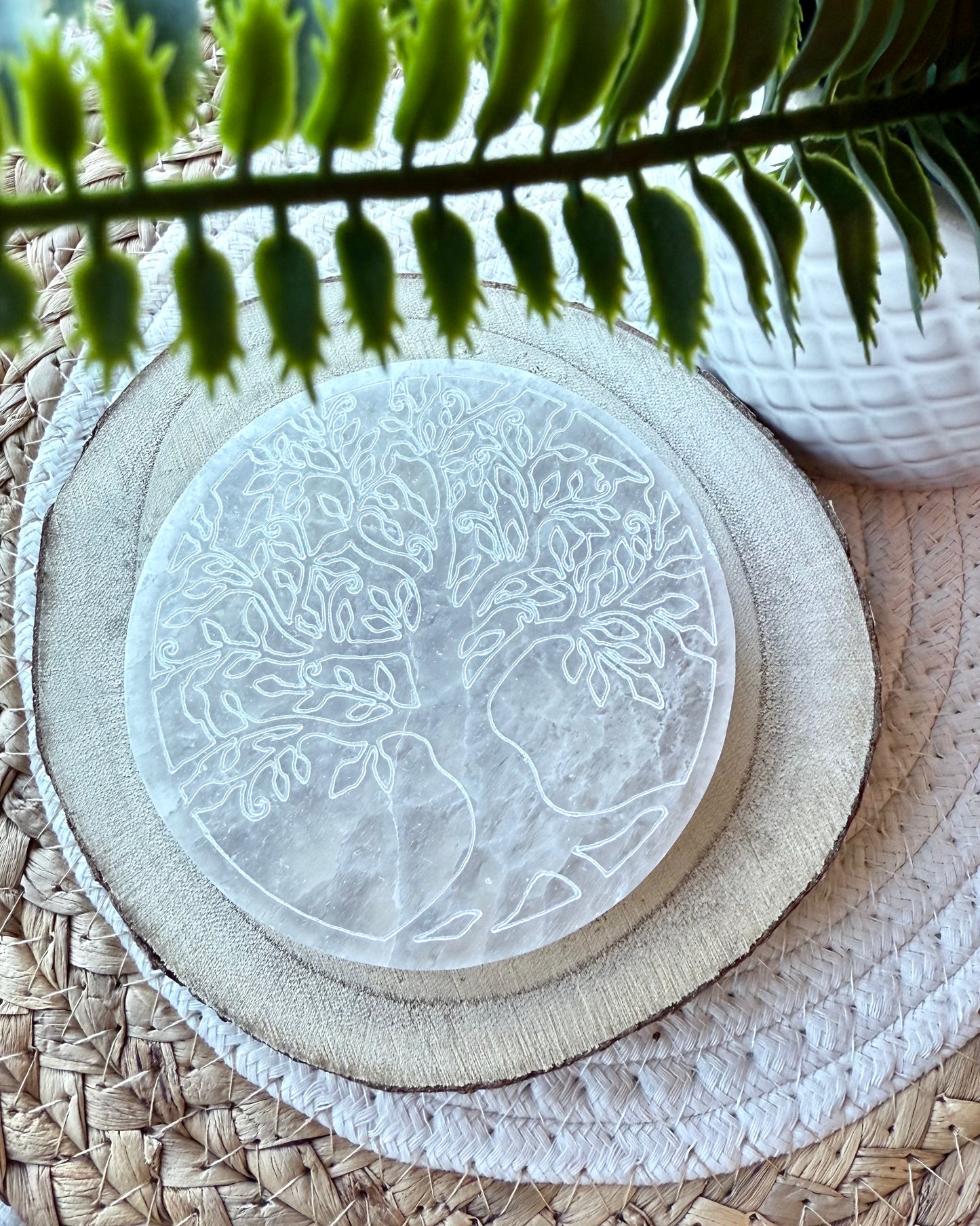 PLAQUES DE SÉLÉNITE