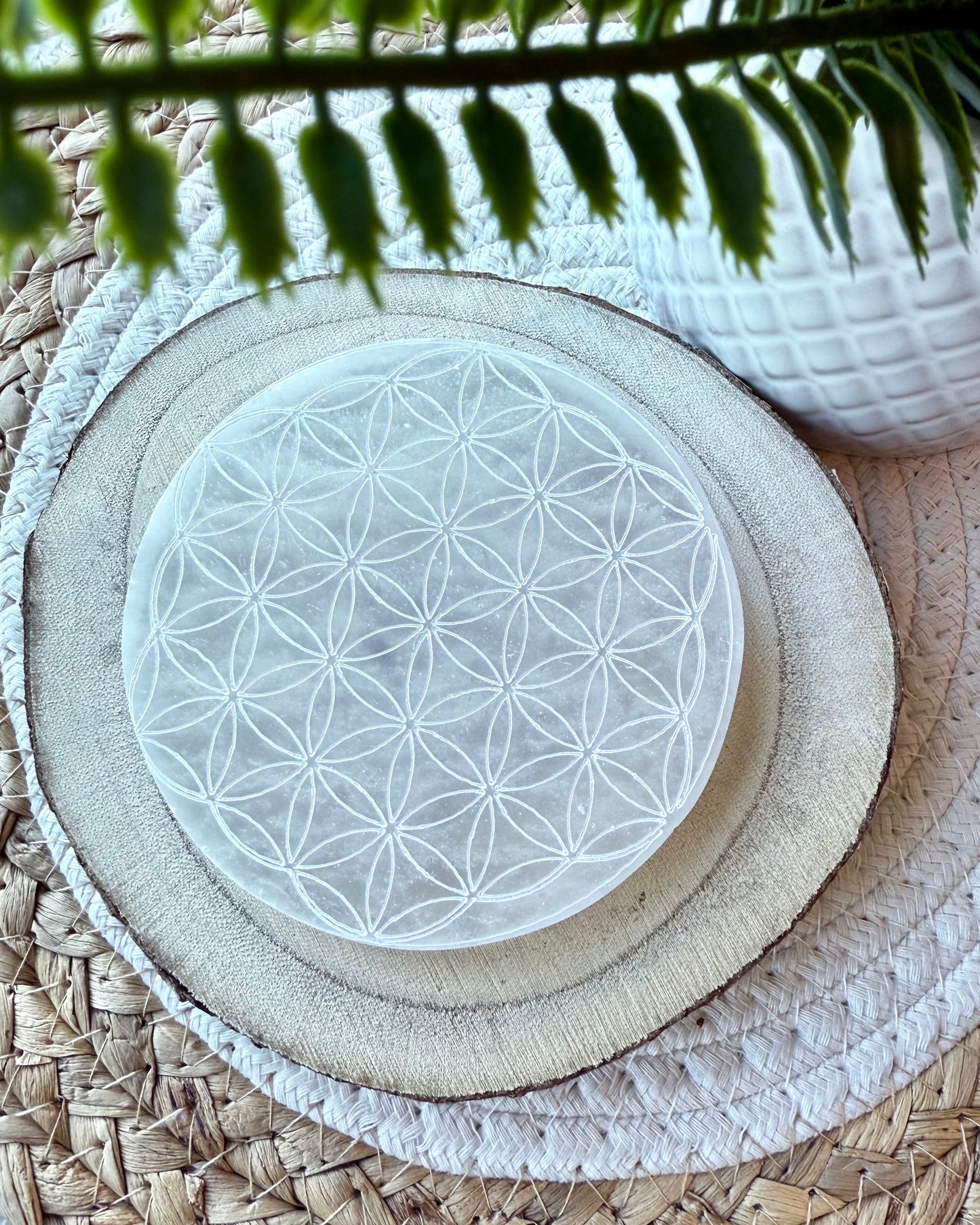 PLAQUES DE SÉLÉNITE