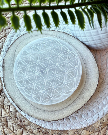 PLAQUES DE SÉLÉNITE