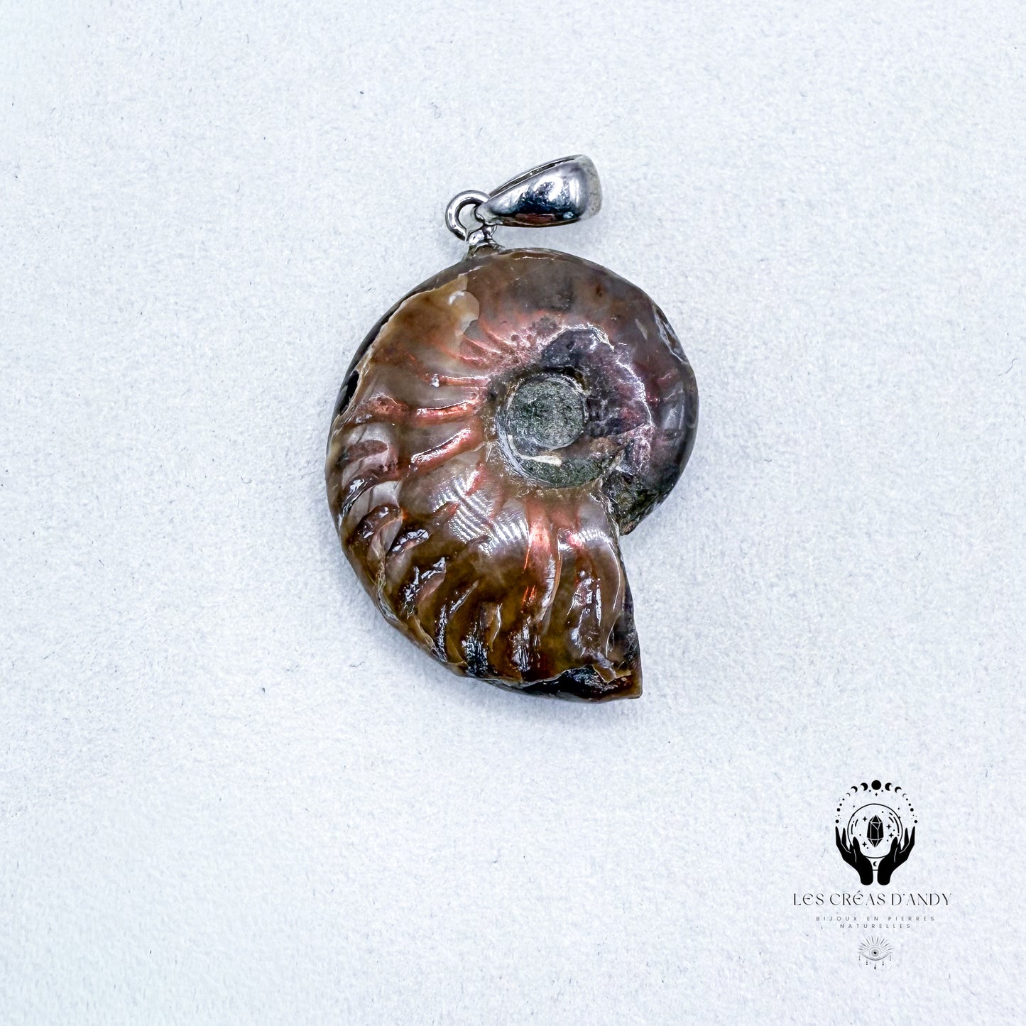 AMMONITE OPALISÉE