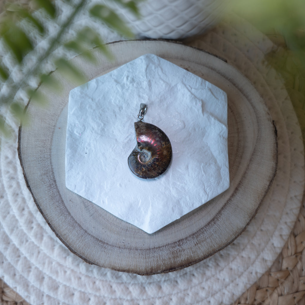 Pendentif Ammonite Opalisée – Pierre naturelle évolution et énergie