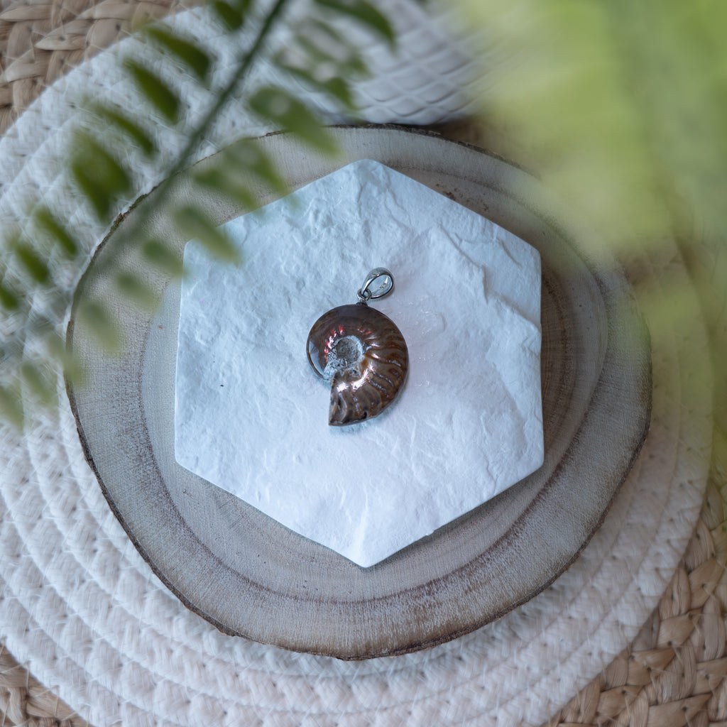 Pendentif Ammonite Opalisée – Pierre naturelle évolution et énergie