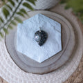 ABALONE & NACRE GRISE